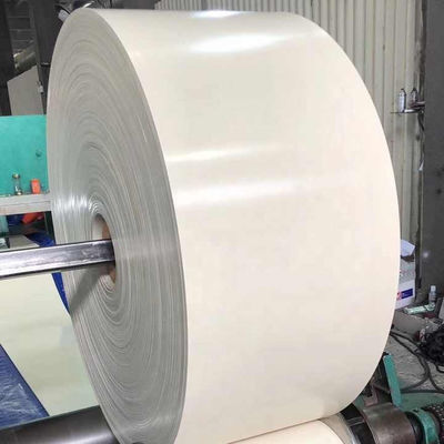 NN100 NN150 NN200 Λευκή ελαστική ιμάντα μεταφοράς με ευρύτατο εύρος ζώνης για ευέλικτες εφαρμογές